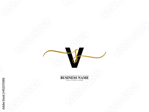 Letter VS Logo, creative vs sv signature logo for wedding, fashion, apparel and clothing brand or any kind of business