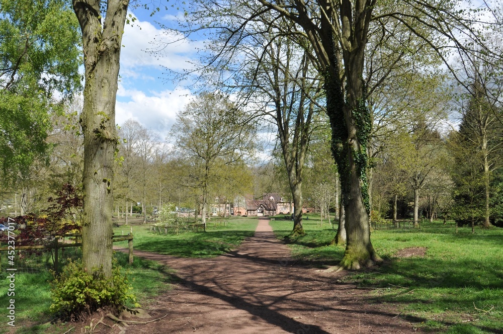 Springtime pathway in the forest. Springtime pathway in the forest.