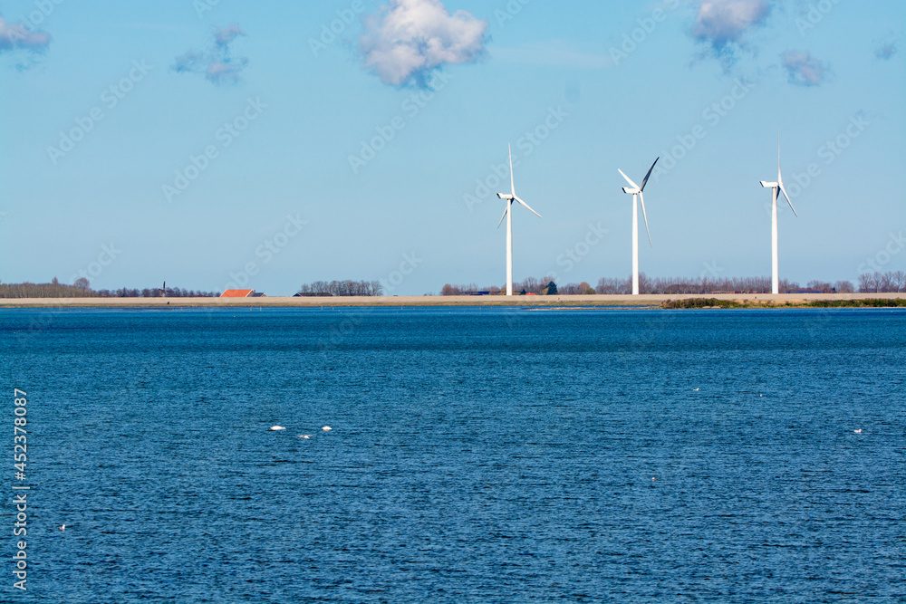 Dutch landscape, windmills in Zeeland, birdswatching and coliny of pink flamingos on Grevelingenmeer, Netherlands