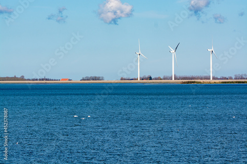 Dutch landscape, windmills in Zeeland, birdswatching and coliny of pink flamingos on Grevelingenmeer, Netherlands photo