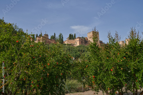 Monumental Alhambra in Granada from the Cordoba gardens in Spain. 