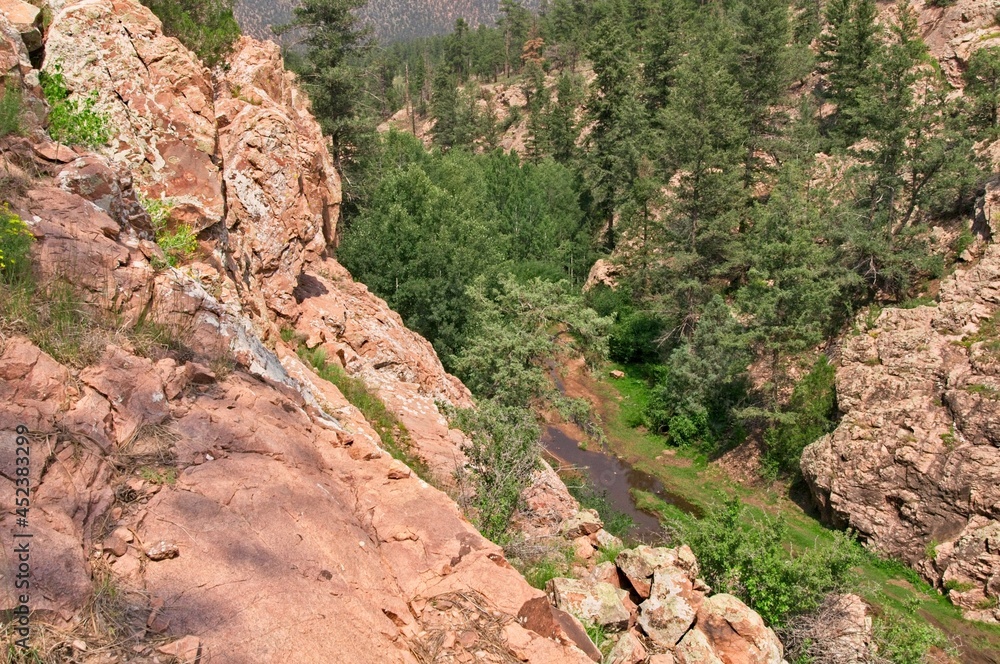 Rock walls dotted with pine trees surround a deep valley with a stream running through it.