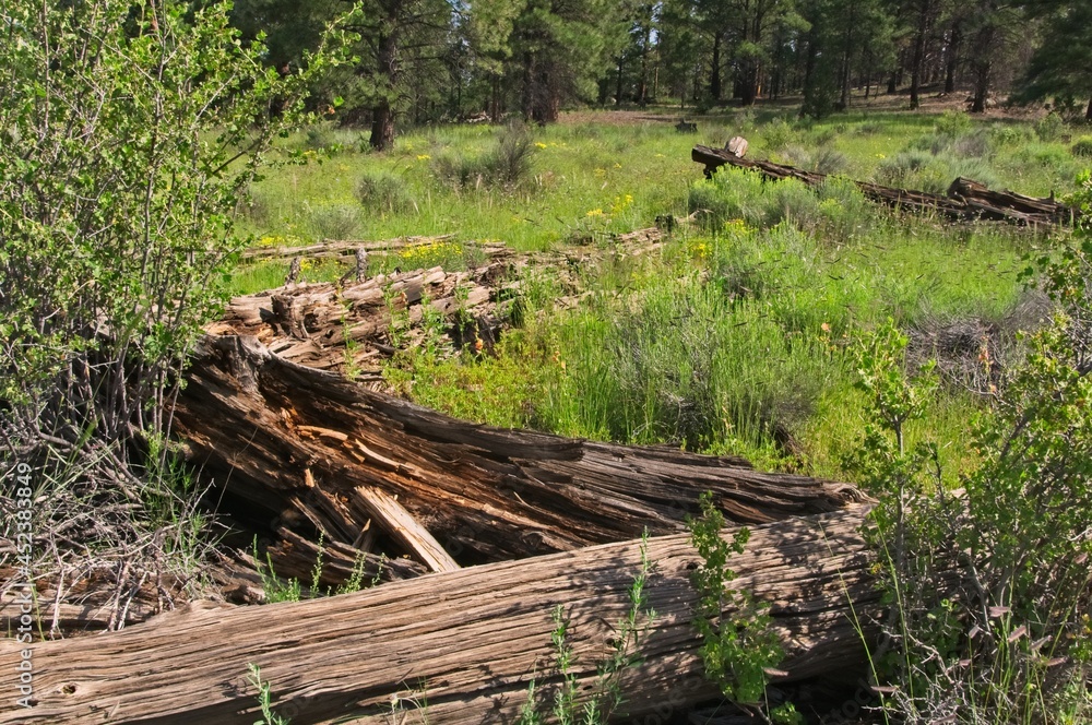 An old log structure is rotting away at the edge of a New Mexico meadow. An old log structure is rotting away at the edge of a New Mexico meadow.