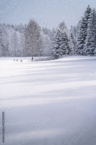 Wallpaper Mural Christmas morning background Torontodigital.ca