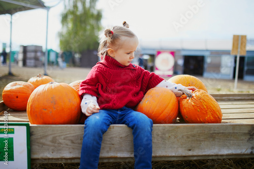 Adorable toddler girl in red poncho selecting pumpkin on farm