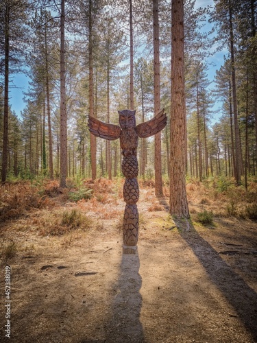 path in the woods