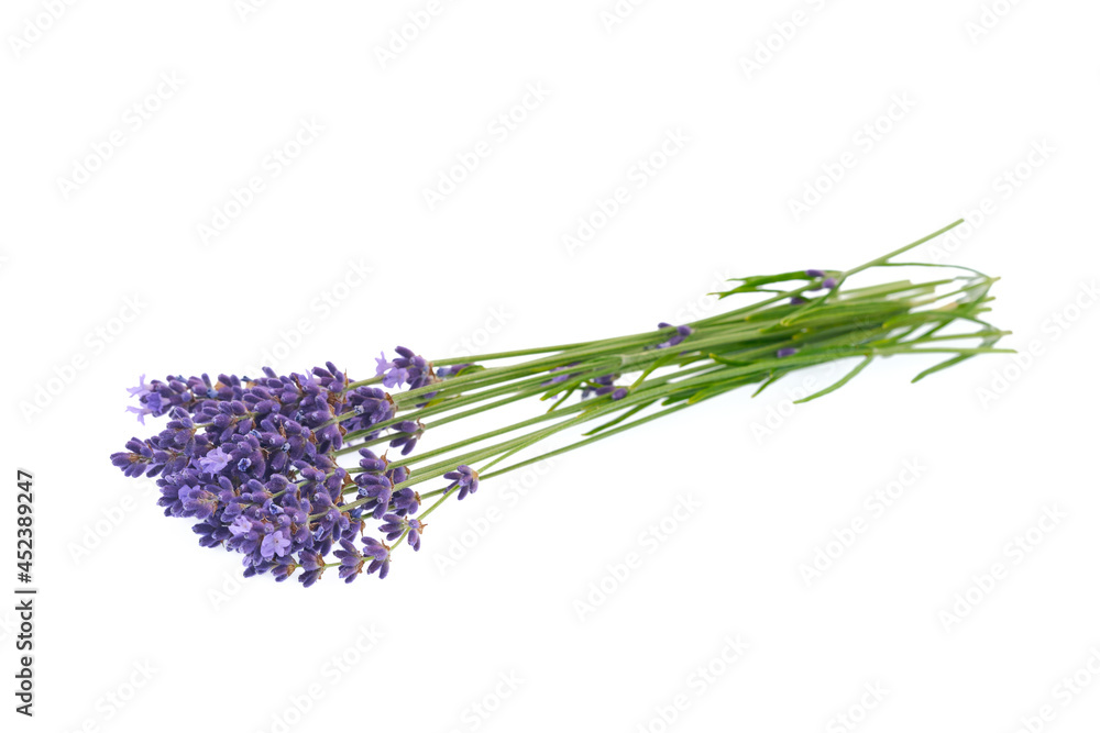 Fototapeta premium Lavender flowers isolated on white background. 