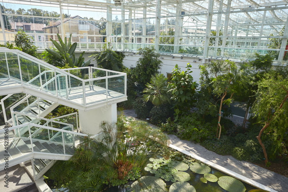 Greenhouse in the botanic garden of Padova
