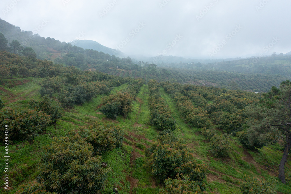 Fototapeta premium fog in the mountains