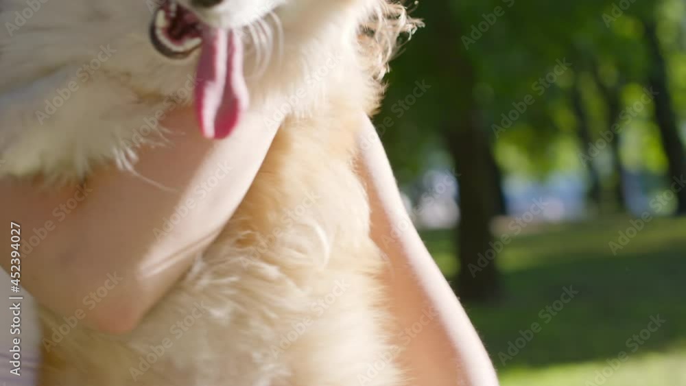 Happy mature female pet owner relaxing and embracing. Young woman hugging dog in the city in summer Happy mature female pet owner relaxing and embracing. Young woman hugging dog in the city in summer