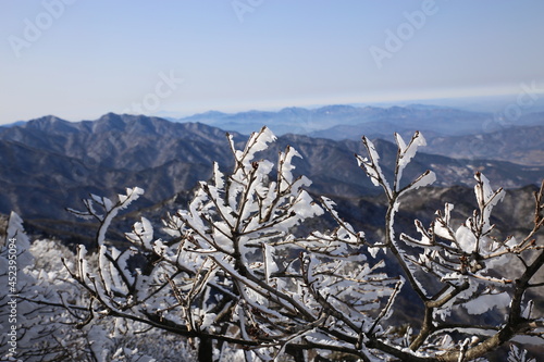 snow covered mountains