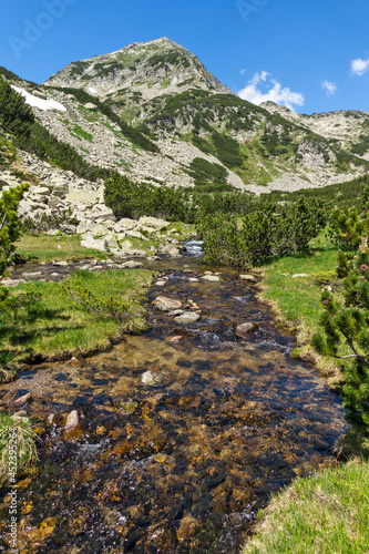 Small Mountain river near Muratovo lake, Pirin Mountain, Bulgaria