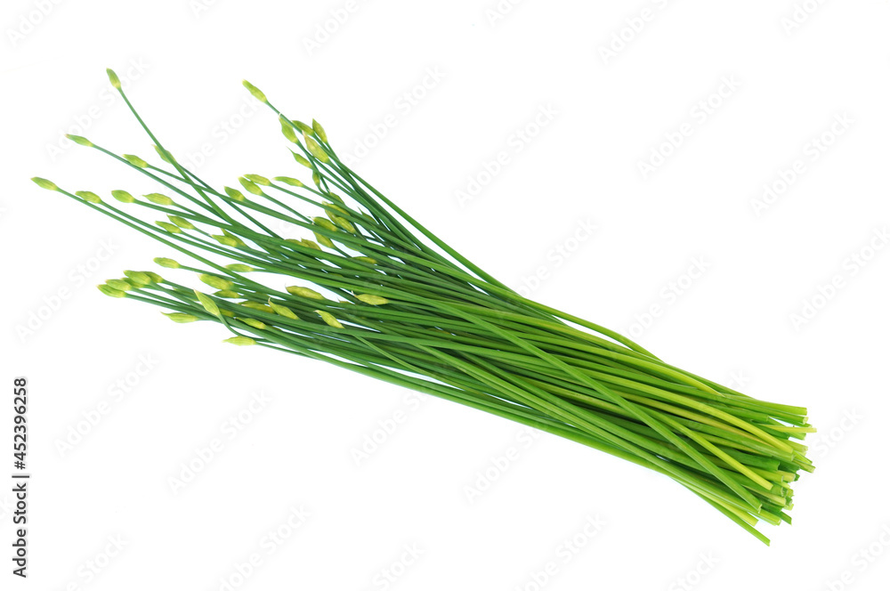 close up fresh chives flower isolated on white background close up fresh chives flower isolated on white background