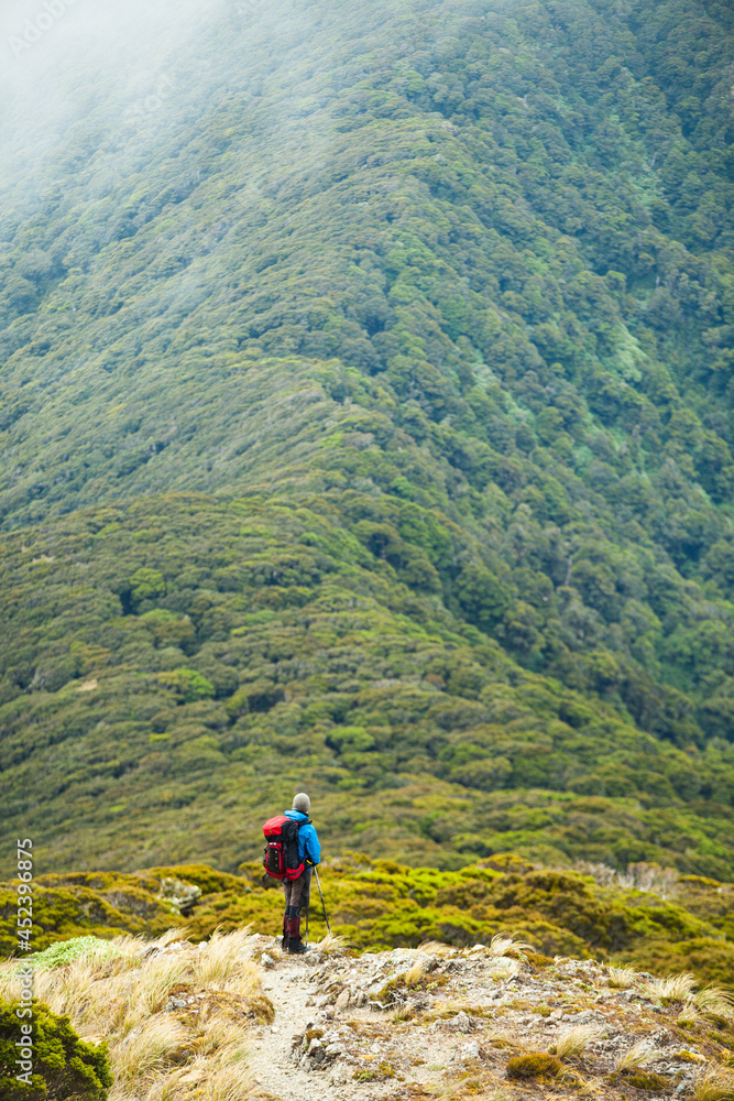 Tramper standing above bush covered ridge line on Southern Crossing route, Tararua Forest Park