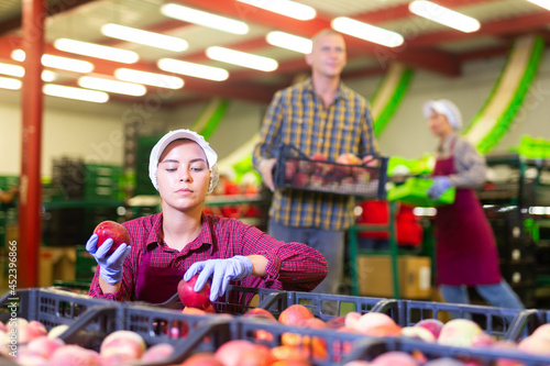 European female employee working at the peach warehouse