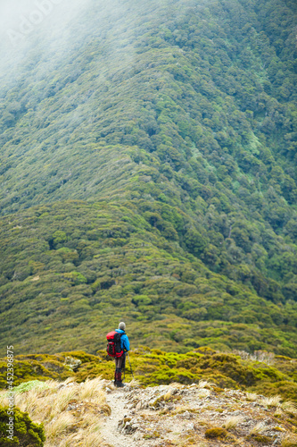 Tramper standing above bush covered ridge line on Southern Crossing route, Tararua Forest Park © highluxphoto