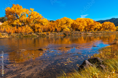 Beautiful autumn colors on Rio Grande river flowing through New Mexico