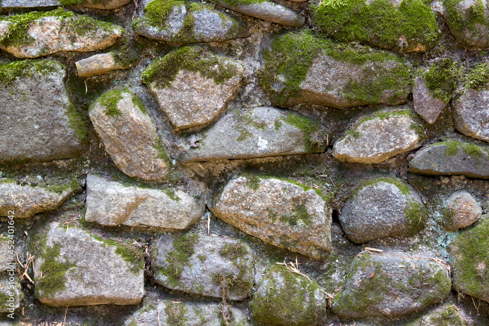 Rock and Moss Wall 001