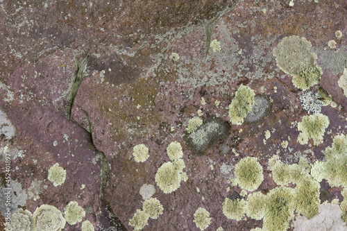 Moldy Red Rock Texture 001