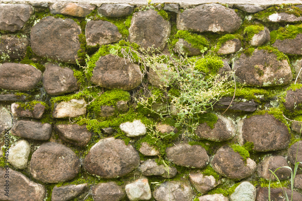 Stone Wall With Moss 001