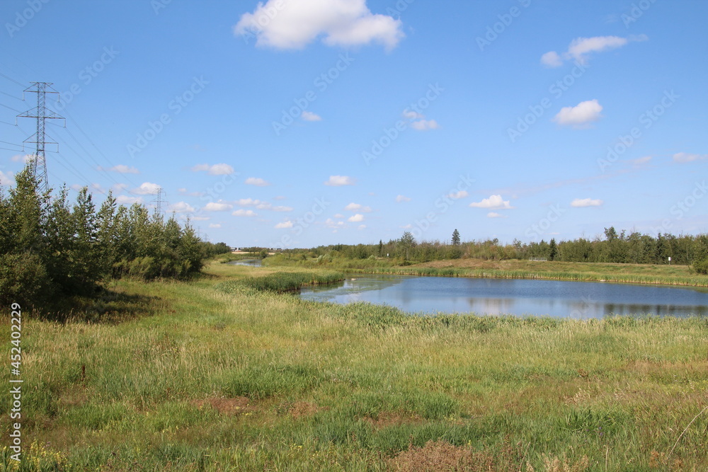 Mid Summer On The Wetlands, Pylypow Wetlands, Edmonton, Alberta