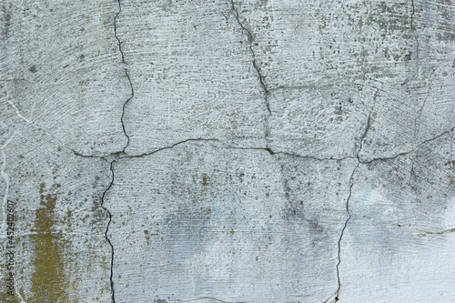 Cracked Brushed Gray Moldy Rock Texture 002