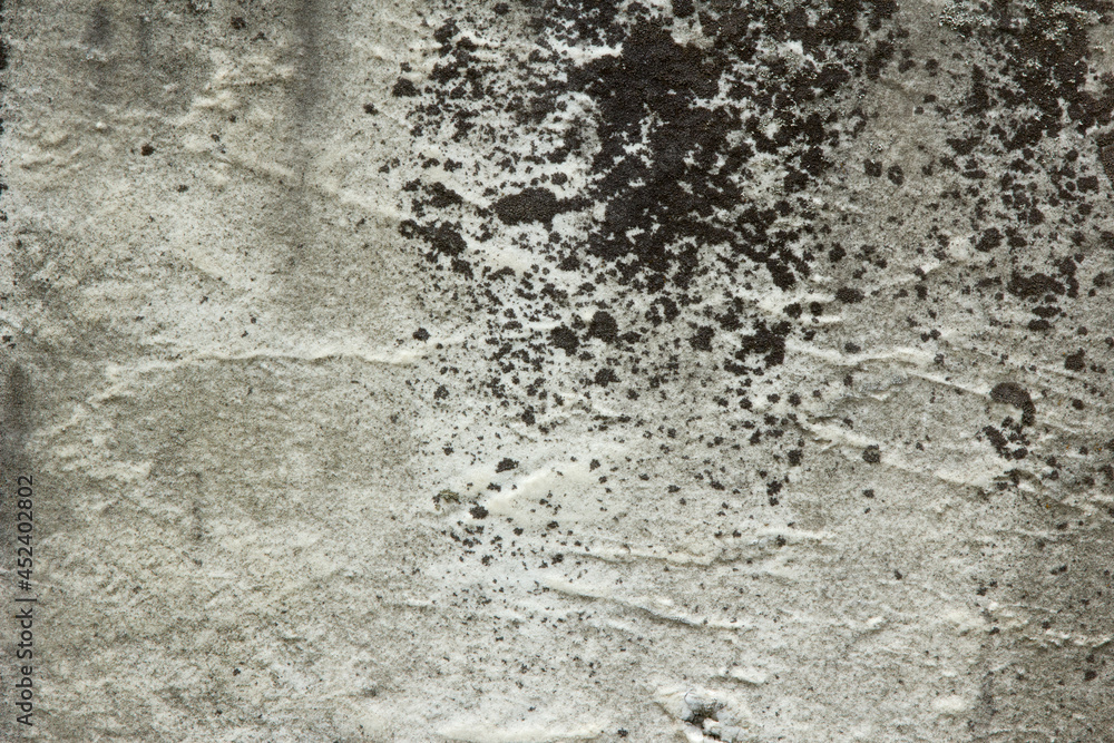 Pinched Black and White Dirty Spotted Rock Texture 002 Pinched Black and White Dirty Spotted Rock Texture 002