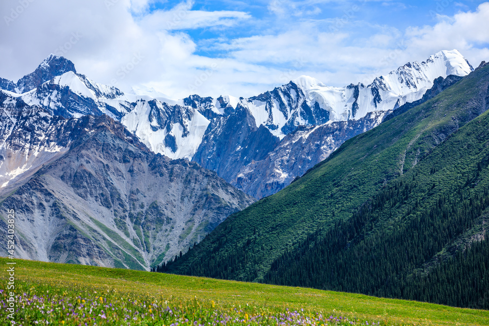 White glaciers and green grasslands in the Tianshan Mountains,Xinjiang,China.