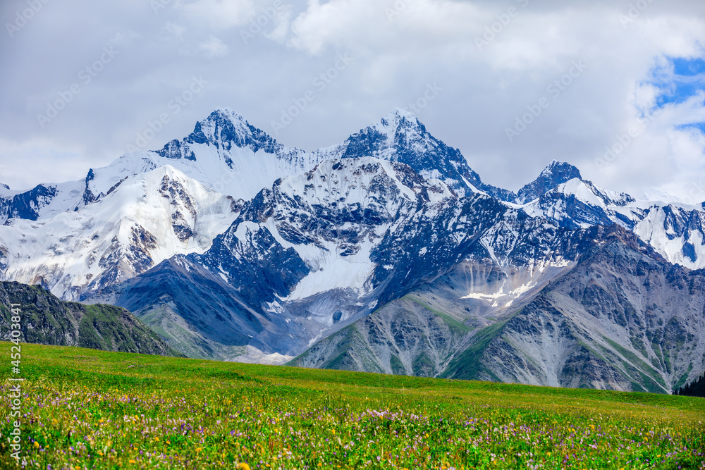 Fototapeta premium White glaciers and green grasslands in the Tianshan Mountains,Xinjiang,China.