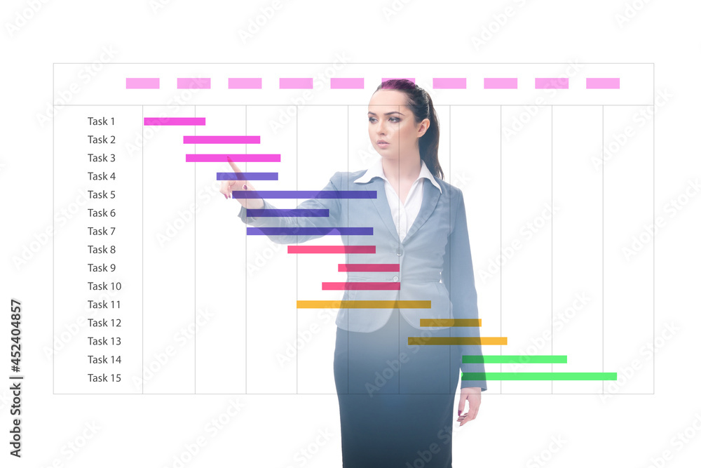 Businesswoman in project management concept Businesswoman in project management concept
