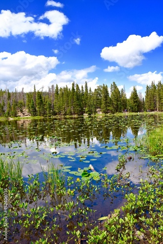 lake in the mountains