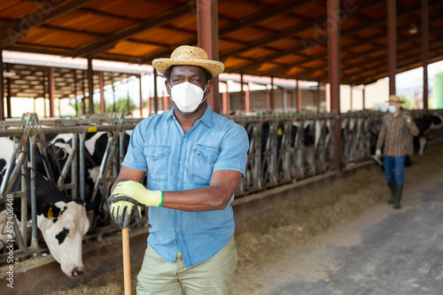 African american male farmer wearing protective face mask standing in outdoor cowshed on summer day. Precautions in work during pandemic
