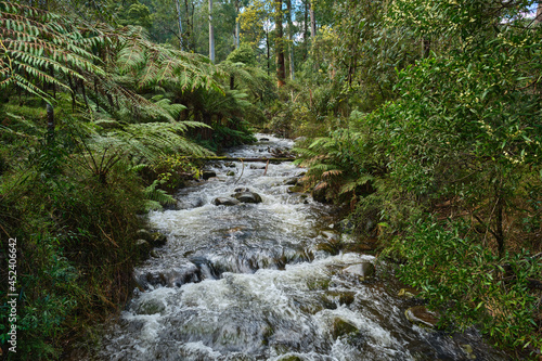 Long Exposure Photography at Badger Creek Weir