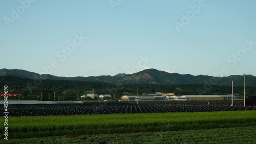 Wallpaper Mural Scenic View Of Ginseng And Rice Farm In Geumsan, Chungcheong, South Korea. zoom out, hyperlapse Torontodigital.ca