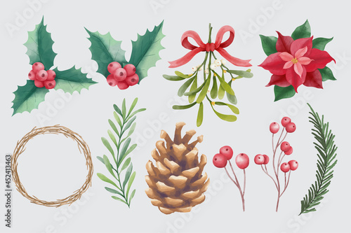 Watercolor Christmas and Winter Floral Elements