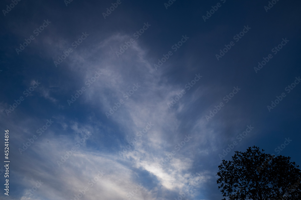 Blue sky and clouds, Beautiful cloudscape over horizon Beautiful landscape with shiny light blue sky, tree of life ,Blue sky with clouds, High resolution image gallery Blue sky and clouds, Beautiful cloudscape over horizon Beautiful landscape with shiny light blue sky, tree of life ,Blue sky with clouds, High resolution image gallery