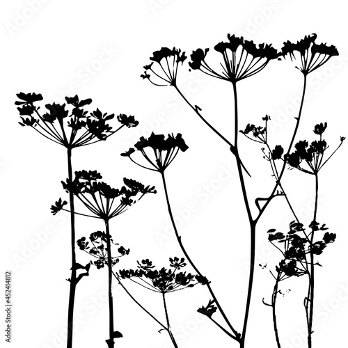 Vector template with leaves and plants monochrome silhouettes, floral background