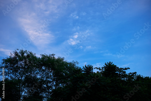 Blue sky and clouds  Beautiful cloudscape over horizon Beautiful landscape with shiny light blue sky  tree of life  Blue sky with clouds  High resolution image gallery