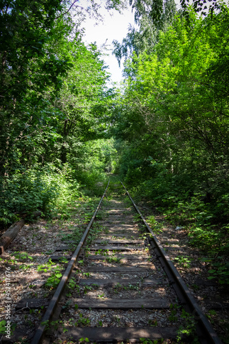 A line of an abandoned railroad overgrown with trees, bushes and grass.