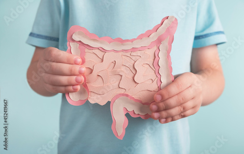 Child holding decorative model intestine. Healthy digestion children concept, probiotics and prebiotics for microbiome intestine. Close up photo