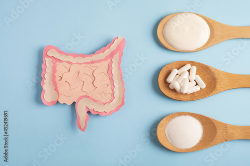 Intestine decorative model with various nutritional supplements. Healthy digestion concept, probiotics and prebiotics for microbiome intestine. Top view photo