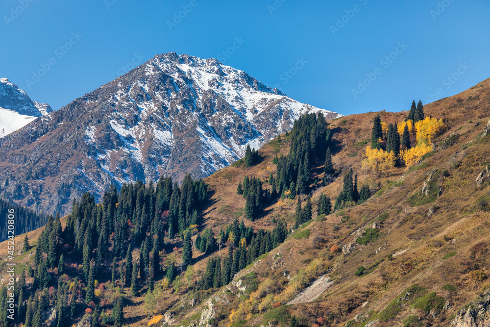 Fototapeta premium landscape in autumn