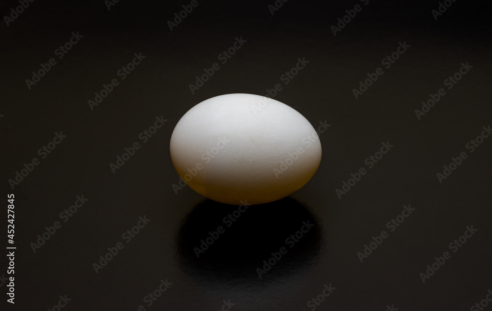 A bird egg close up top view on dark background with long shadow A bird egg close up top view on dark background with long shadow