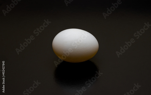 A bird egg close up top view on dark background with long shadow