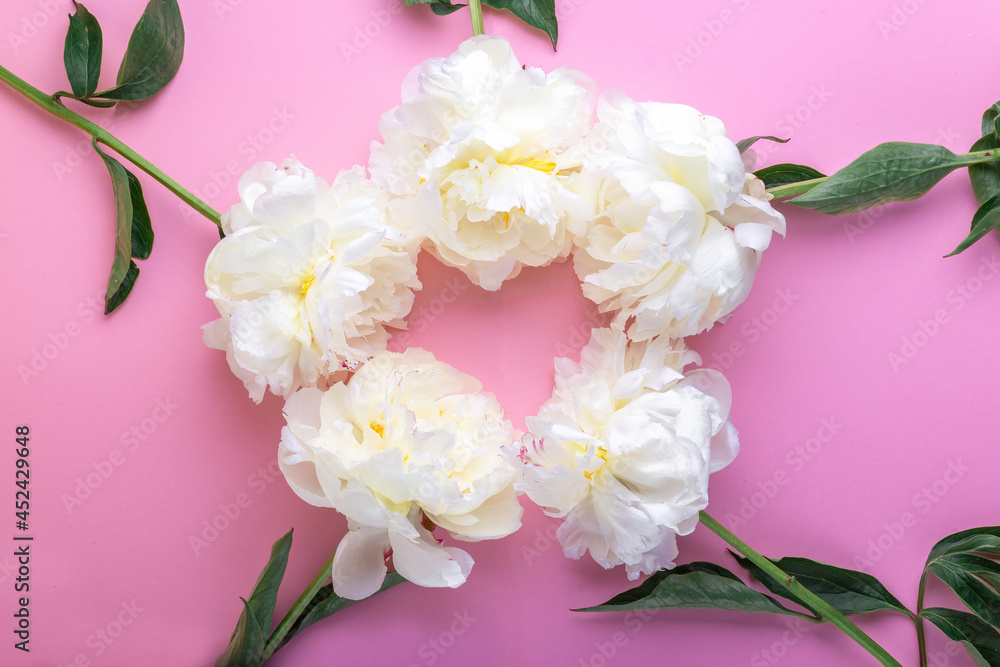 Beautiful white peonies on a pink background in the form of a hear