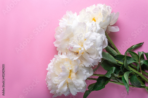A bouquet of peonies of five pink flowers lie on a pink background. 