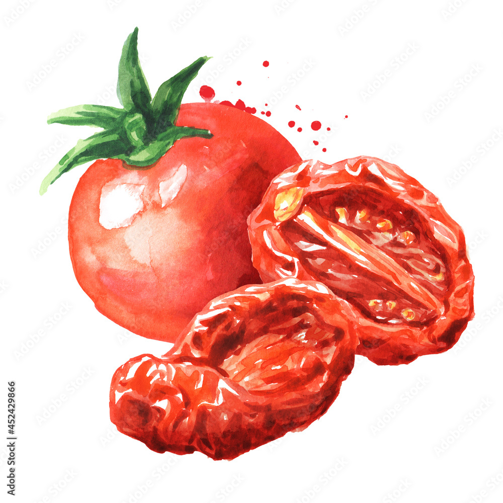 Dried and fresh tomatoes. Hand drawn watercolor illustration, isolated on white background - obrazy, fototapety, plakaty 