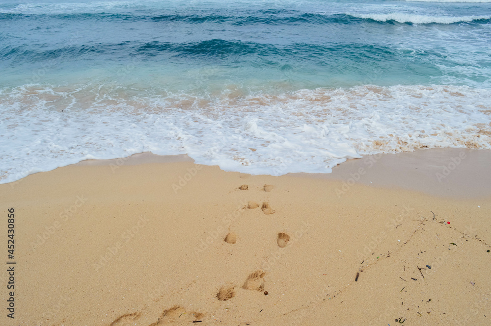 footprints on the beach footprints on the beach