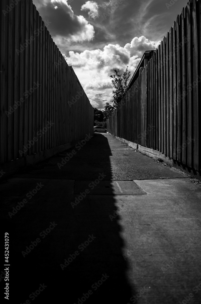 Obraz premium Black and white pavement