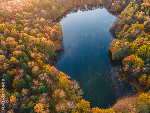 Autumn forest with lake aerial drone view. Trees with colorful orange, red, yellow and green leaves